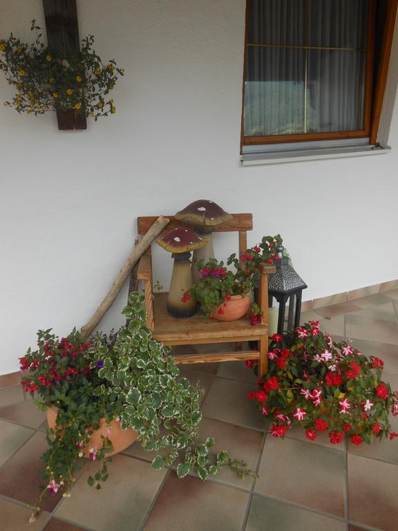 Haus Rieder Apartment Pfarrwerfen Exterior photo