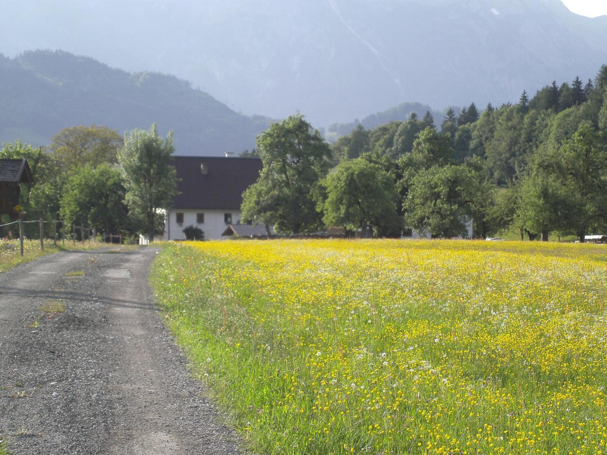 Haus Rieder Apartment Pfarrwerfen Exterior photo